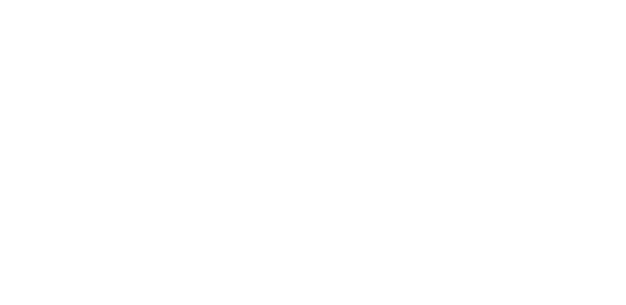 Logo-Schreder-White-Left